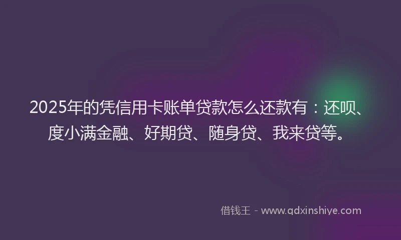 2025年的凭信用卡账单贷款怎么还款有：还呗、度小满金融、好期贷、随身贷、我来贷等。