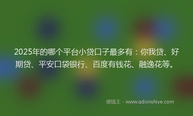 2025年的哪个平台小贷口子最多有：你我贷、好期贷、平安口袋银行、百度有钱花、融逸花等。