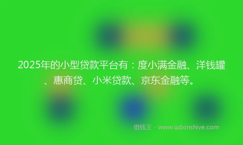 2025年的小型贷款平台有：度小满金融、洋钱罐、惠商贷、小米贷款、京东金融等。