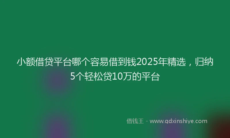 小额借贷平台哪个容易借到钱2025年精选，归纳5个轻松贷10万的平台