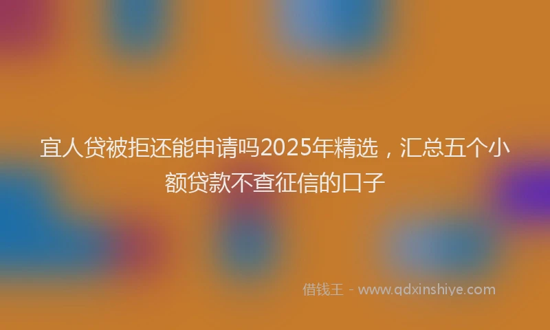 宜人贷被拒还能申请吗2025年精选，汇总五个小额贷款不查征信的口子