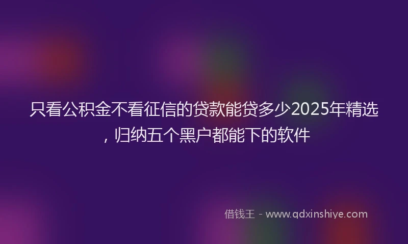 只看公积金不看征信的贷款能贷多少2025年精选，归纳五个黑户都能下的软件