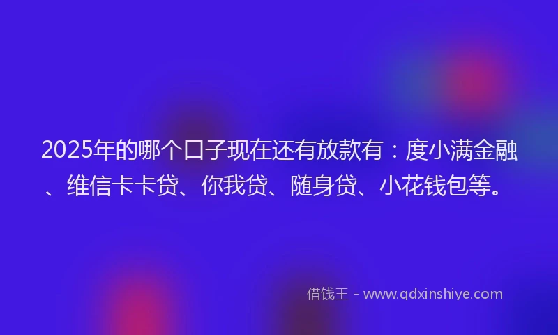2025年的哪个口子现在还有放款有：度小满金融、维信卡卡贷、你我贷、随身贷、小花钱包等。