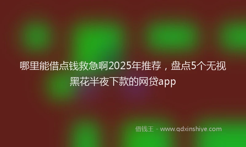哪里能借点钱救急啊2025年推荐，盘点5个无视黑花半夜下款的网贷app