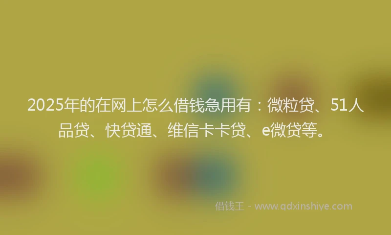 2025年的在网上怎么借钱急用有：微粒贷、51人品贷、快贷通、维信卡卡贷、e微贷等。