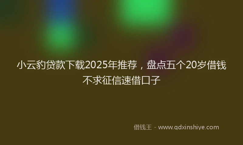 小云豹贷款下载2025年推荐，盘点五个20岁借钱不求征信速借口子