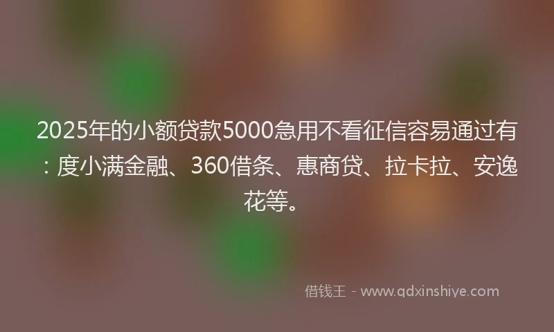 2025年的小额贷款5000急用不看征信容易通过有：度小满金融、360借条、惠商贷、拉卡拉、安逸花等。