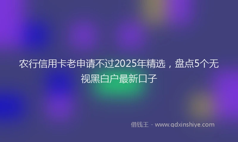 农行信用卡老申请不过2025年精选，盘点5个无视黑白户最新口子