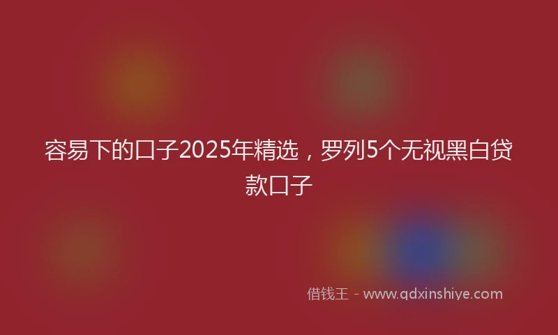 容易下的口子2025年精选，罗列5个无视黑白贷款口子