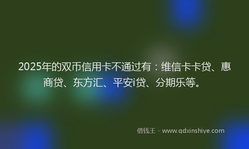 2025年的双币信用卡不通过有：维信卡卡贷、惠商贷、东方汇、平安i贷、分期乐等。