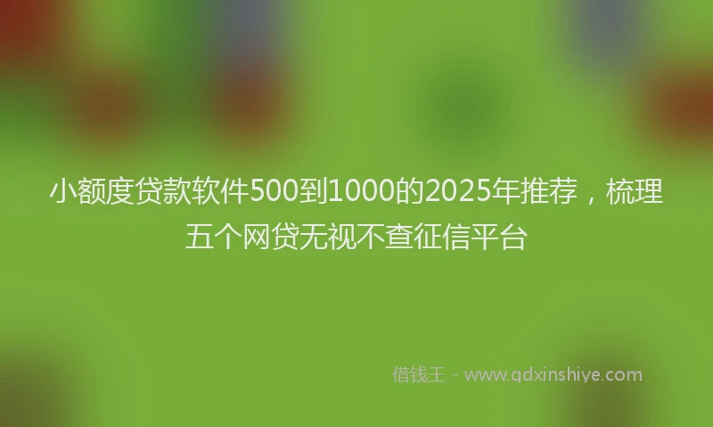 小额度贷款软件500到1000的2025年推荐，梳理五个网贷无视不查征信平台