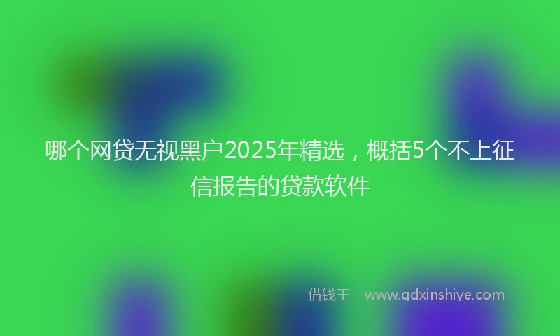 哪个网贷无视黑户2025年精选，概括5个不上征信报告的贷款软件