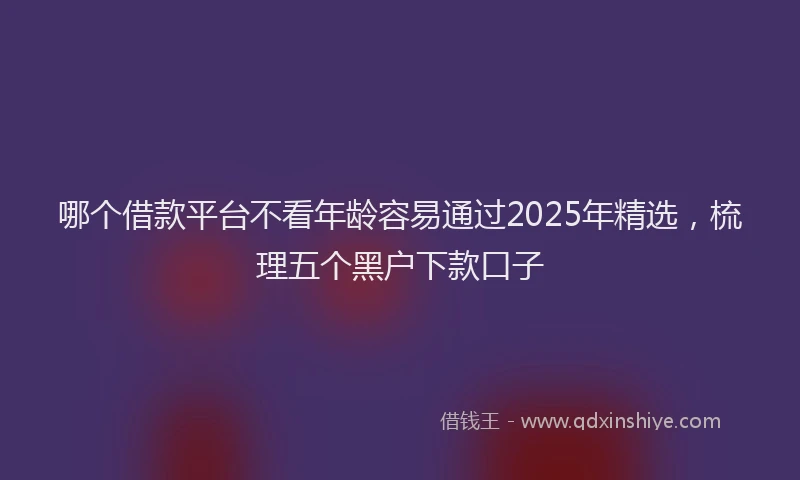 哪个借款平台不看年龄容易通过2025年精选，梳理五个黑户下款口子