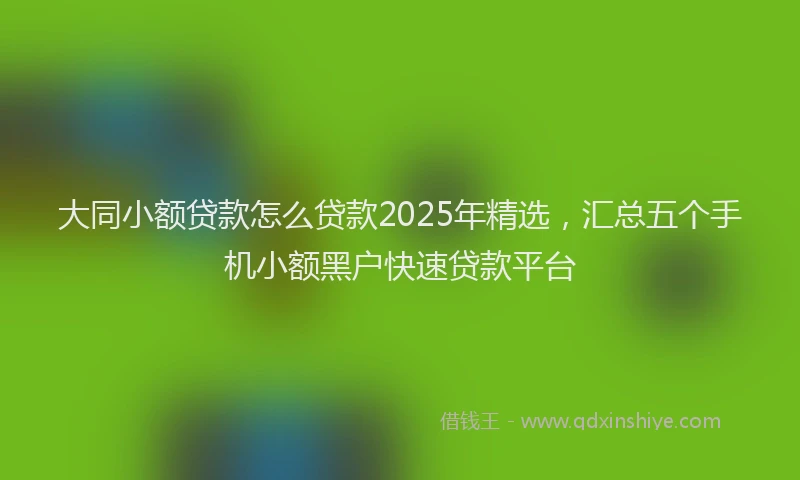 大同小额贷款怎么贷款2025年精选，汇总五个手机小额黑户快速贷款平台