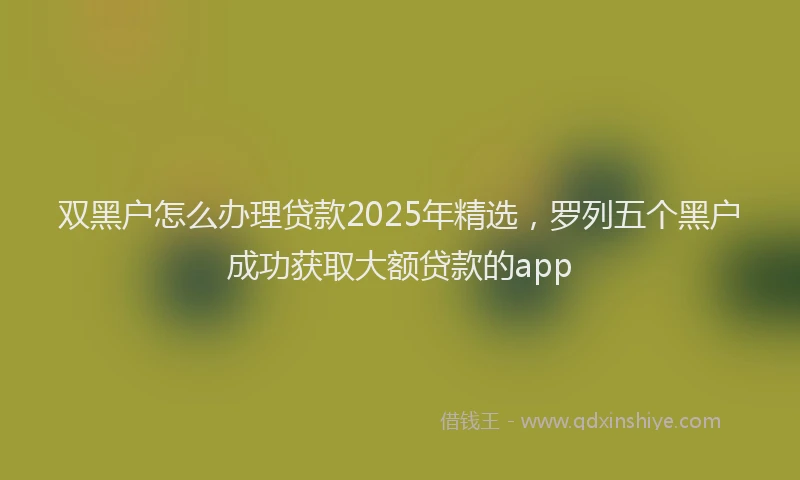 双黑户怎么办理贷款2025年精选，罗列五个黑户成功获取大额贷款的app