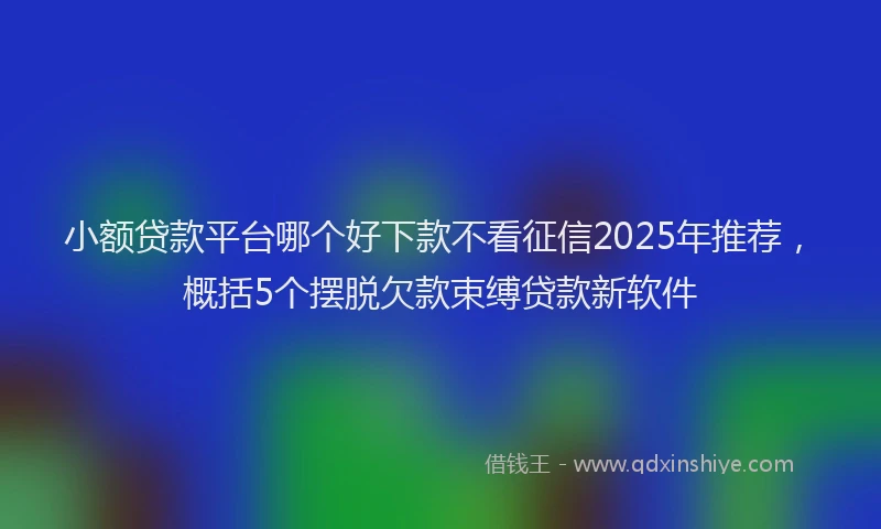 小额贷款平台哪个好下款不看征信2025年推荐，概括5个摆脱欠款束缚贷款新软件