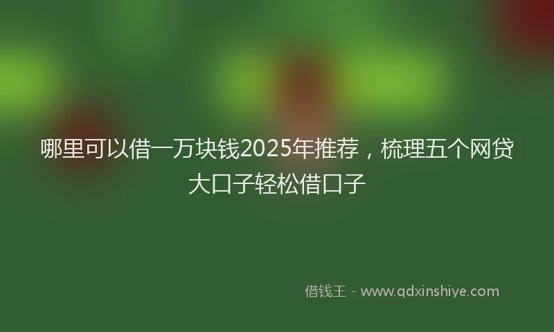 哪里可以借一万块钱2025年推荐，梳理五个网贷大口子轻松借口子