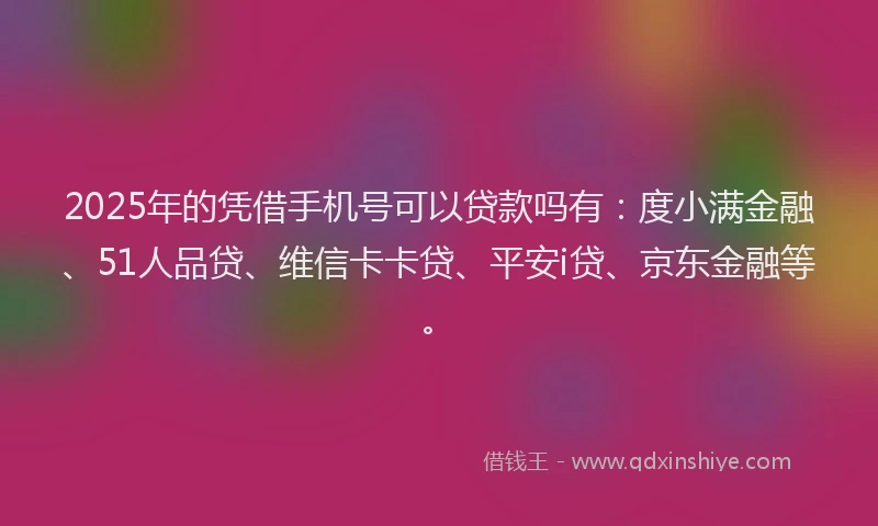 2025年的凭借手机号可以贷款吗有：度小满金融、51人品贷、维信卡卡贷、平安i贷、京东金融等。