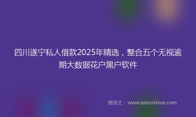 四川遂宁私人借款2025年精选，整合五个无视逾期大数据花户黑户软件