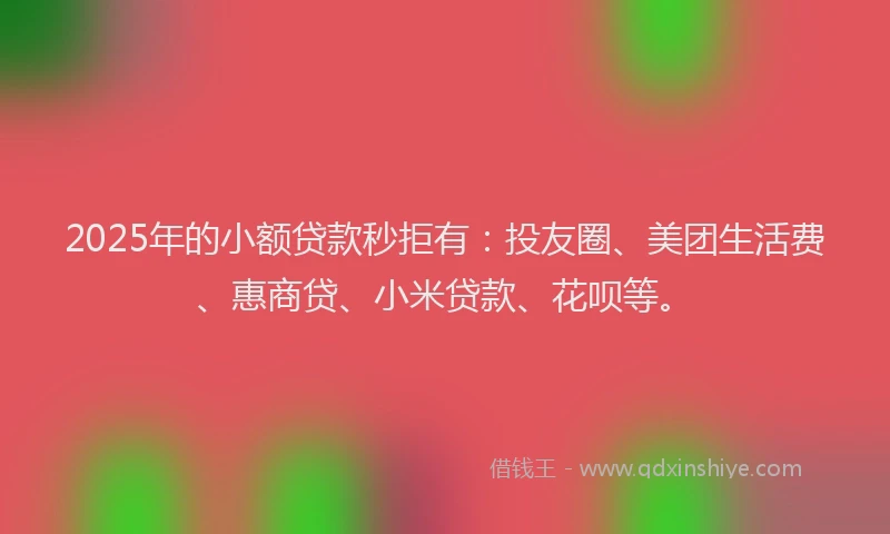2025年的小额贷款秒拒有：投友圈、美团生活费、惠商贷、小米贷款、花呗等。