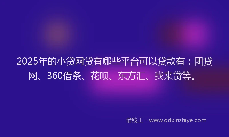 2025年的小贷网贷有哪些平台可以贷款有：团贷网、360借条、花呗、东方汇、我来贷等。
