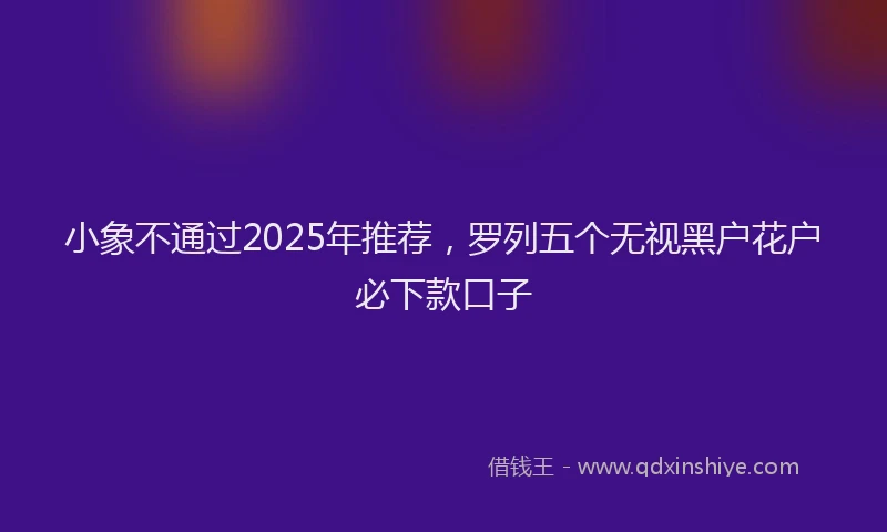 小象不通过2025年推荐，罗列五个无视黑户花户必下款口子