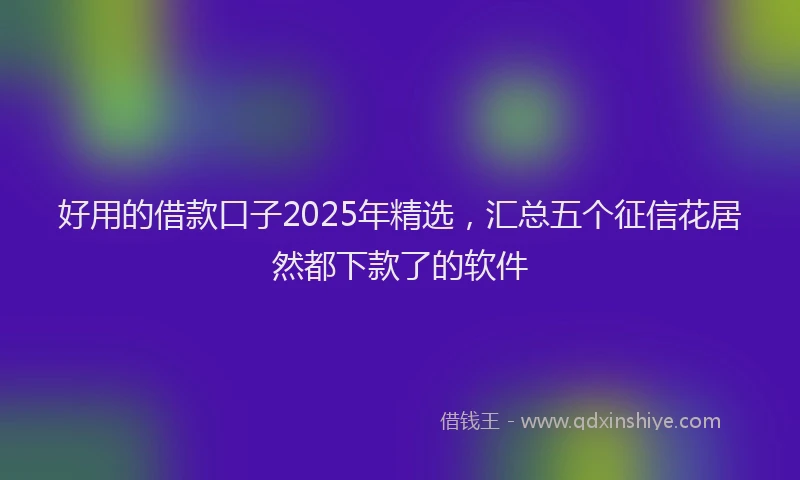 好用的借款口子2025年精选，汇总五个征信花居然都下款了的软件