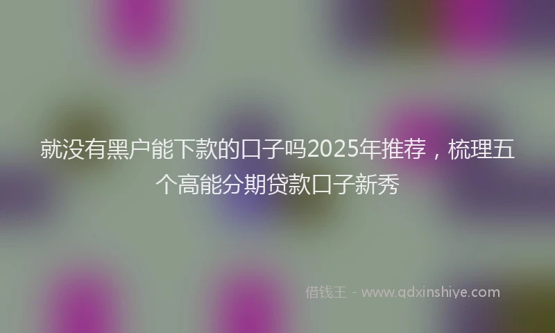 就没有黑户能下款的口子吗2025年推荐，梳理五个高能分期贷款口子新秀