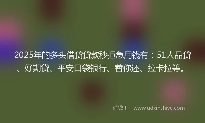 2025年的多头借贷贷款秒拒急用钱有：51人品贷、好期贷、平安口袋银行、替你还、拉卡拉等。
