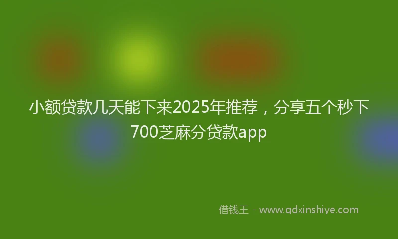 小额贷款几天能下来2025年推荐，分享五个秒下700芝麻分贷款app