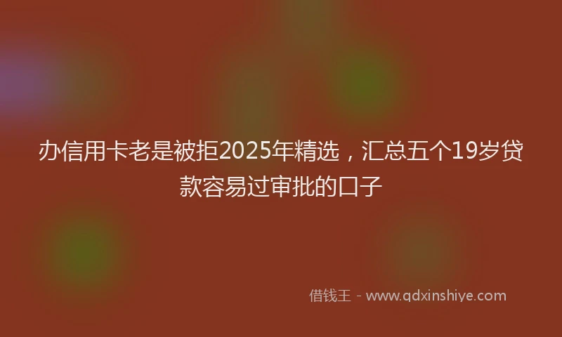 办信用卡老是被拒2025年精选，汇总五个19岁贷款容易过审批的口子