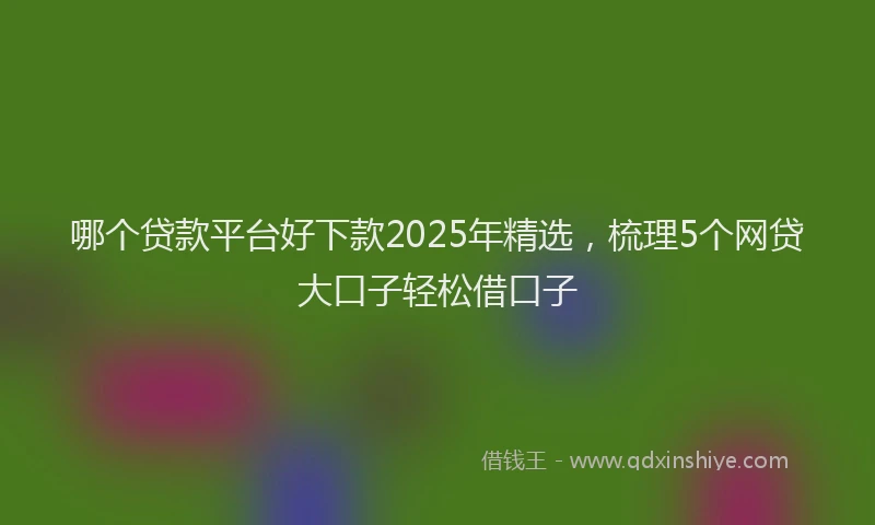 哪个贷款平台好下款2025年精选，梳理5个网贷大口子轻松借口子