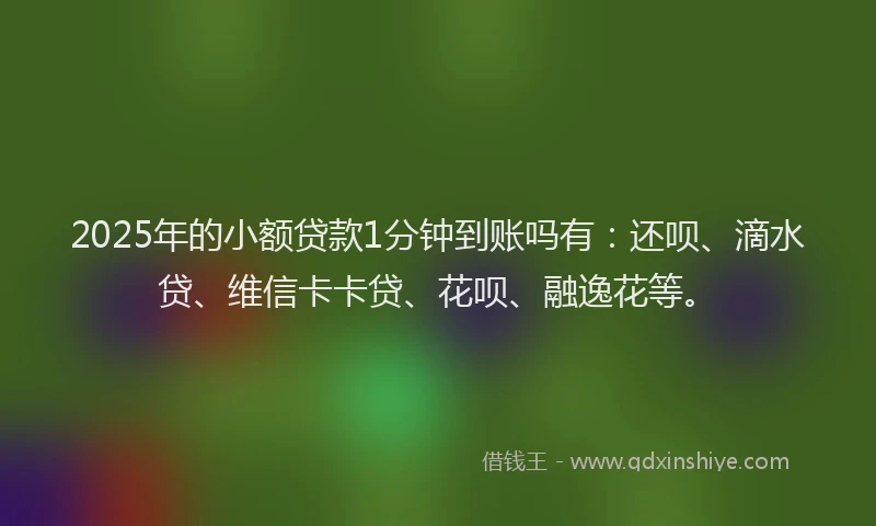 2025年的小额贷款1分钟到账吗有：还呗、滴水贷、维信卡卡贷、花呗、融逸花等。