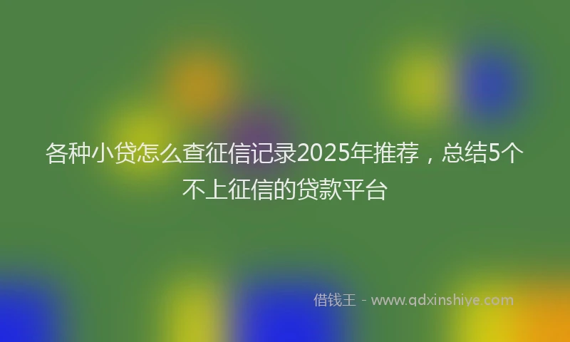 各种小贷怎么查征信记录2025年推荐，总结5个不上征信的贷款平台