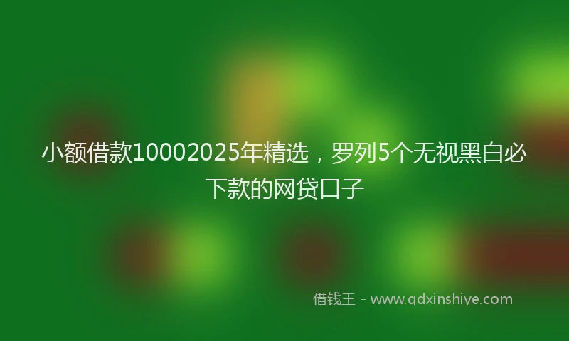 小额借款10002025年精选，罗列5个无视黑白必下款的网贷口子