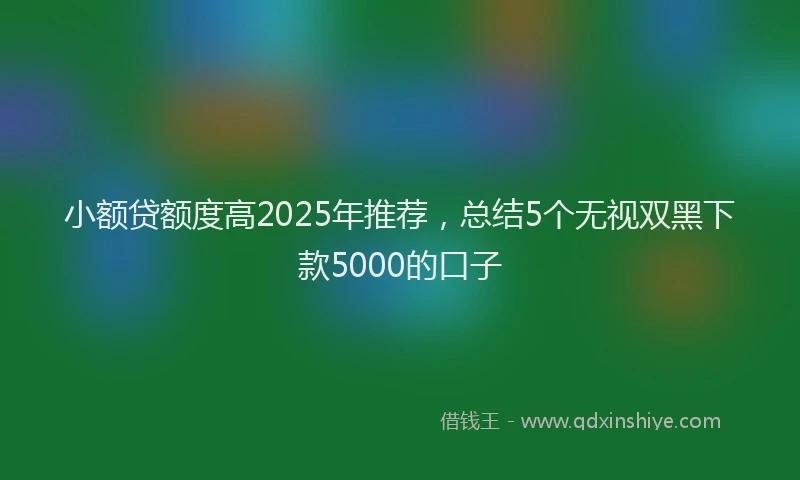 小额贷额度高2025年推荐，总结5个无视双黑下款5000的口子