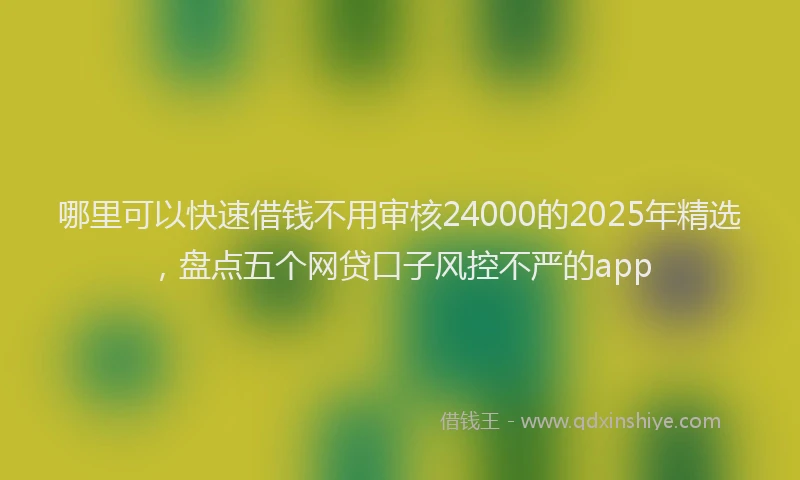 哪里可以快速借钱不用审核24000的2025年精选，盘点五个网贷口子风控不严的app