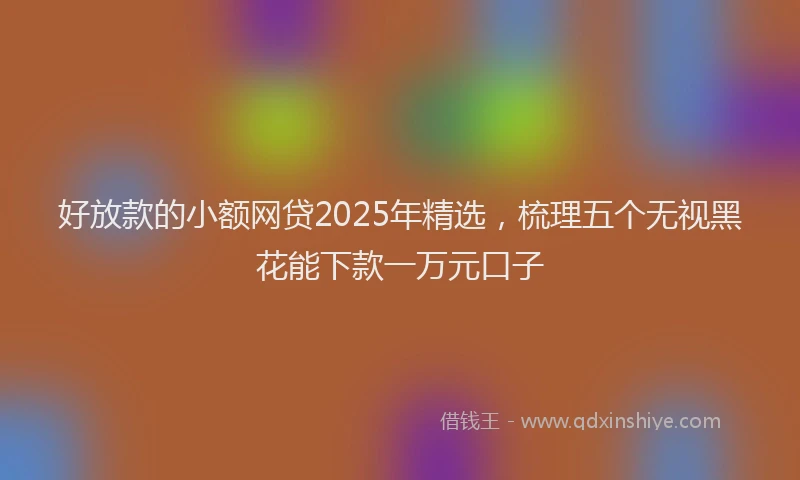 好放款的小额网贷2025年精选，梳理五个无视黑花能下款一万元口子