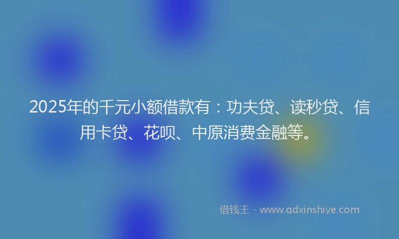 2025年的千元小额借款有：功夫贷、读秒贷、信用卡贷、花呗、中原消费金融等。