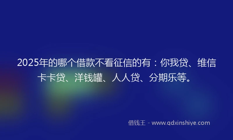 2025年的哪个借款不看征信的有：你我贷、维信卡卡贷、洋钱罐、人人贷、分期乐等。
