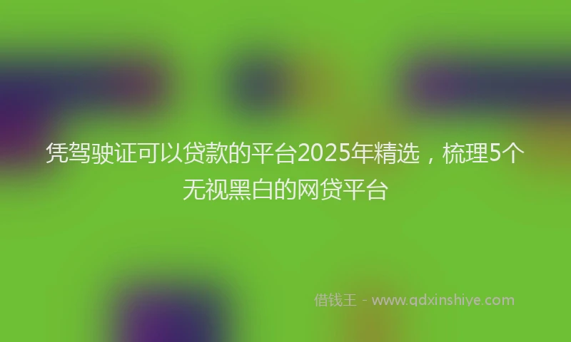 凭驾驶证可以贷款的平台2025年精选，梳理5个无视黑白的网贷平台