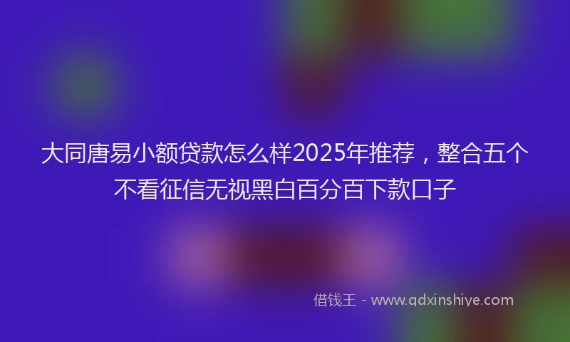 大同唐易小额贷款怎么样2025年推荐，整合五个不看征信无视黑白百分百下款口子