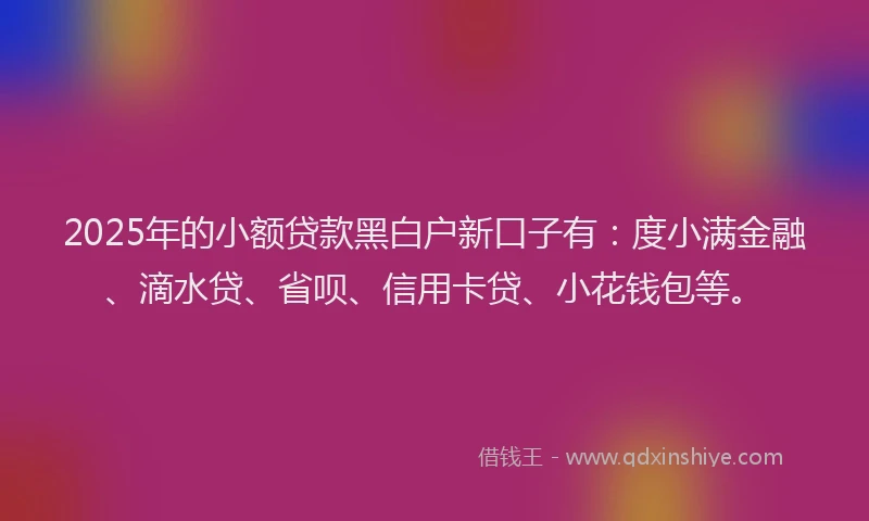 2025年的小额贷款黑白户新口子有：度小满金融、滴水贷、省呗、信用卡贷、小花钱包等。