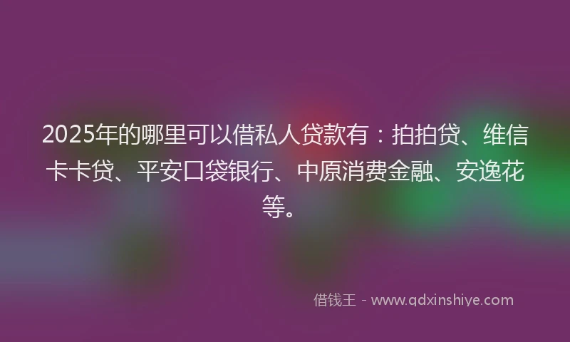 2025年的哪里可以借私人贷款有：拍拍贷、维信卡卡贷、平安口袋银行、中原消费金融、安逸花等。