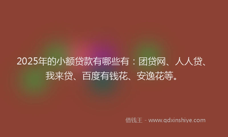 2025年的小额贷款有哪些有：团贷网、人人贷、我来贷、百度有钱花、安逸花等。