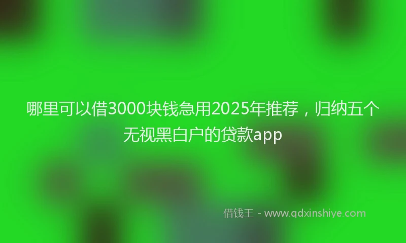哪里可以借3000块钱急用2025年推荐，归纳五个无视黑白户的贷款app