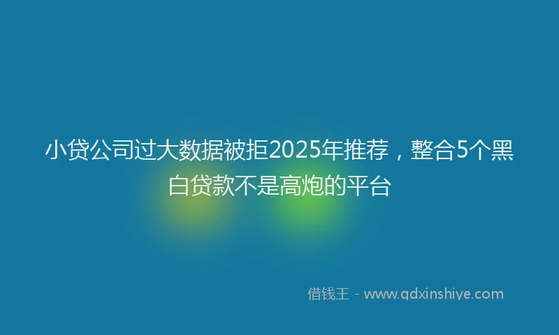 小贷公司过大数据被拒2025年推荐，整合5个黑白贷款不是高炮的平台