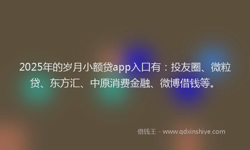 2025年的岁月小额贷app入口有：投友圈、微粒贷、东方汇、中原消费金融、微博借钱等。