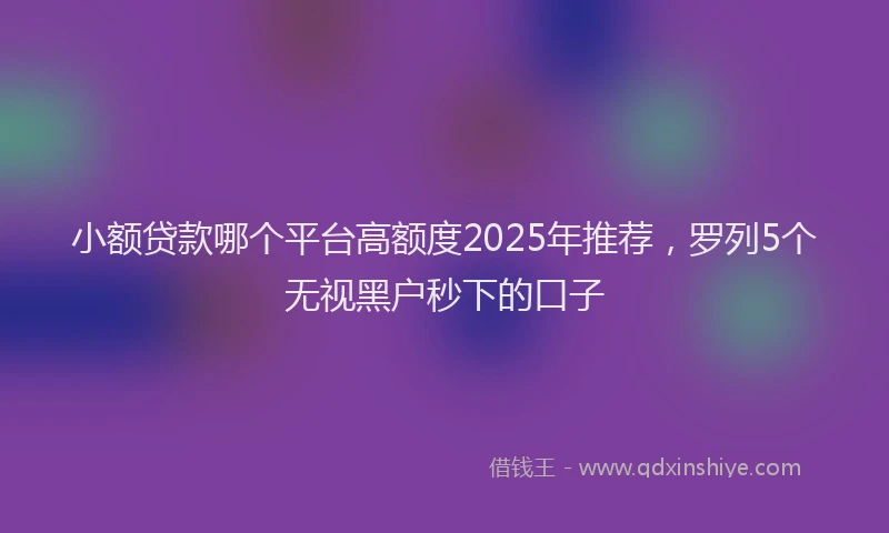 小额贷款哪个平台高额度2025年推荐，罗列5个无视黑户秒下的口子