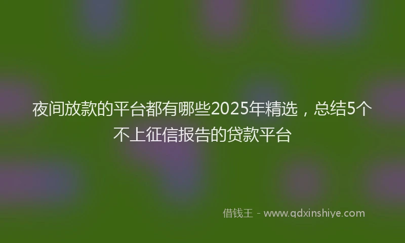 夜间放款的平台都有哪些2025年精选，总结5个不上征信报告的贷款平台